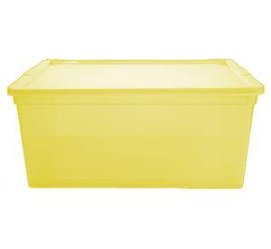 Caja organizadora lima plástico 18 lt