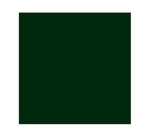 Pintura spray 340 g Ultra 5 en 1 verde militar brillante