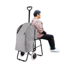 Carro de compras 20 kg Premium Cotidiana.