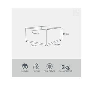 Caja modular con asas bajo 15x30x30 cm