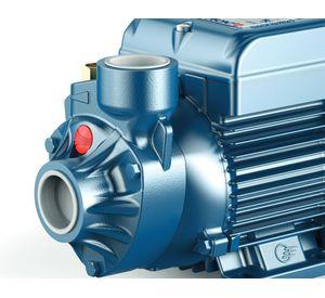 Bomba periférica 1.5HP 70 lt/min PKM100 Pedrollo