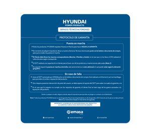 Hidrolavadora a gasolina 186 bar 82HYGPW2700 Hyundai