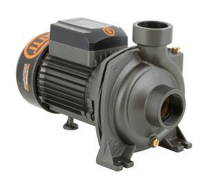 Bomba superficie centrífuga 2'' 2 HP BHFM5AM Bercatti