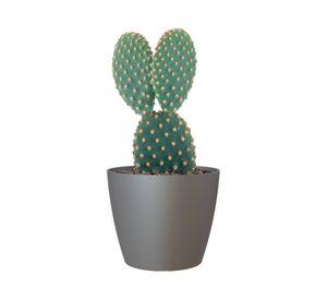 Maceta San Remo antracita 30 cm