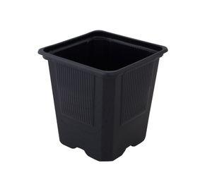 Vasos para transplantes de plantas 10 unidades Bernagroup