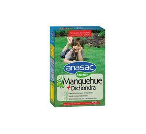 Semilla prado Manquehue dichondra 500 gr Anasac