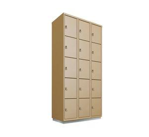 Locker porta candado 15 puertas P5-15 Maletek
