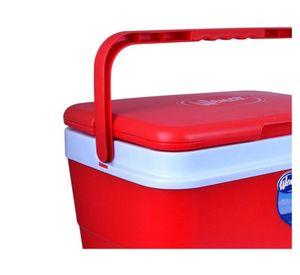 Cooler 22 litros Wenco