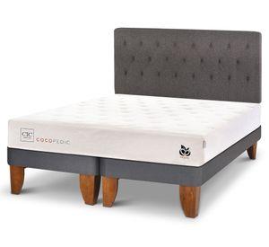 Cama europea King Cocopedic + respaldo Kavery Cic.