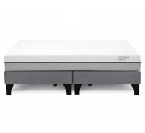 Cama europea King base dividida Pratta