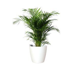 Maceta autorregante 42 cm San Remo blanco