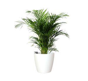 Maceta Autorregante 36 cm San remo blanco