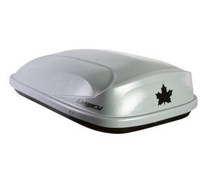 Caja portaequipaje 450 litros PT-5698B gris Calgary