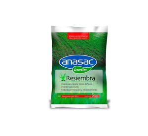 Semillas prado resiembra corriente fina 5kg Anasac