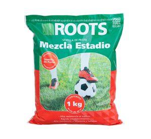 Semilla pasto estadio corriente desinfectada 1 kilo roots