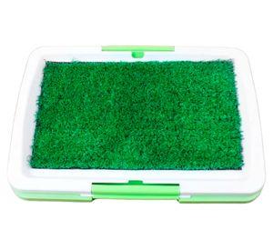 Baño entretenido ecológico perros 47x34x6 cm verde