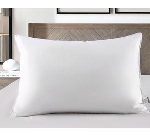 Pack almohada Pluma ganso 50x70 cm