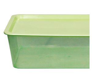 Caja organizadora salvia 13 lt