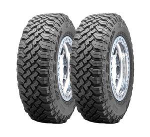 Neumático 315/70 17R 118R WPRT01 R/T LT 2 unidades