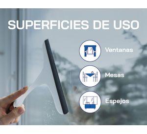 Limpiavidrios manzana 5 lt
