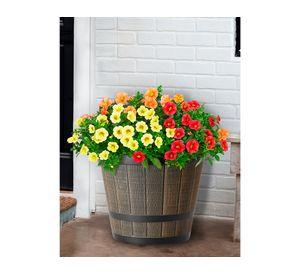 Maceta Barril arce 31.03 cm