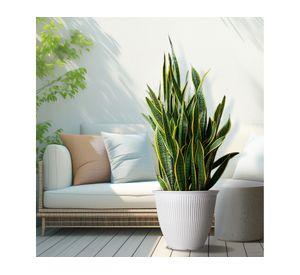 Maceta Billie blanco 44.45 cm