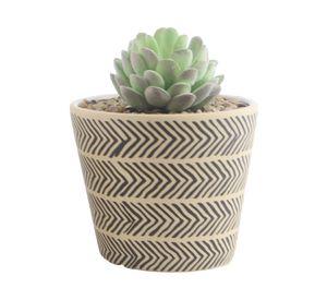 Maceta D3 Aguacate 12 cm