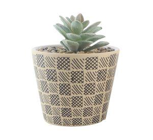 Maceta D1 Aguacate 12 cm
