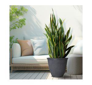 Maceta Billie gris 44.45 cm