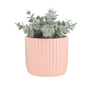 Maceta Amaranto rosa 12 cm