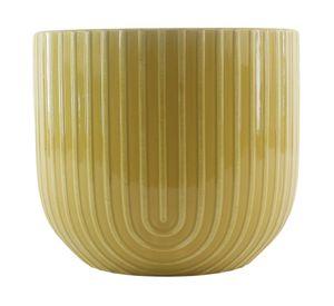 Maceta Agave mostaza 12x14 cm