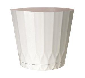 Maceta con plato coco 26.98 cm