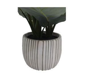 Planta artificial Calathea 48 cm