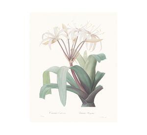 Lámina decorativa 50.8x40.8 cm D3