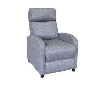 Berger Moi gris