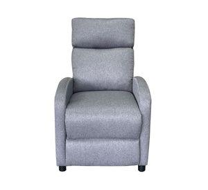 Berger Moi gris