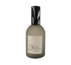Aromatizante spray gris 100 ml