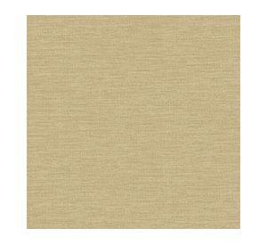 Papel mural Fibers 25862 liso 53x1000 cm
