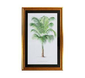 Cuadro Palmera chica 60x40x1.5 cm