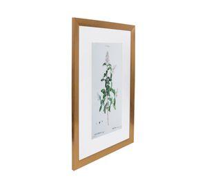 Cuadro planta Ligustrum 60x40x1.5 cm