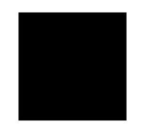 Esmalte anticorrosivo Convertidor 7 Beneficios negro 1/4 galón