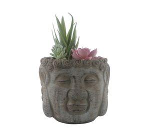 Suculenta maceta cemento Buda S 13 cm