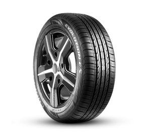Neumático 195/65R15 91V Evolution C5