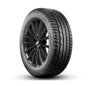 Neumático 195/55R16 87V Evolution Sport