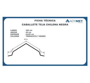 Caballete Recto 0.035x40x300 cm negro