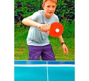 Mini Mesa De Ping Pong Portátil