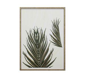 Canvas con marco hojas palmas D1 R3 50x70 cm