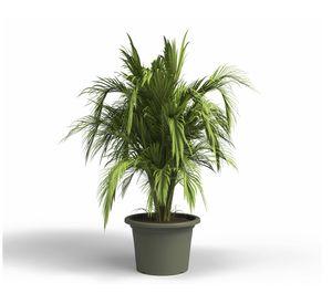 Maceta Venezia dry green 20 cm