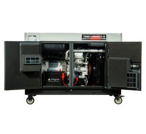 Generador diésel trifásico 794 cc TDWG12000SGE3-N