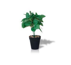 Planta Artificial Peperomia 28x9 cm